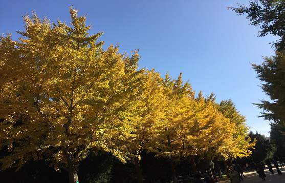 北京公司注冊(cè)需要找哪些專業(yè)機(jī)構(gòu)幫助？