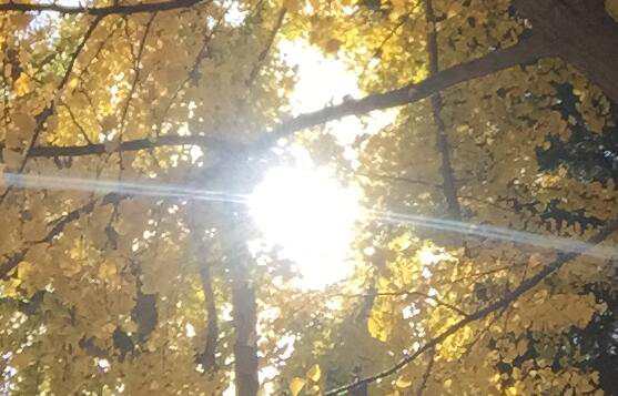 北京公司工會注冊公司如何擴大影響力？